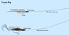 Texas Rig Detailed Explanation with Softbait&Worm Hook