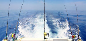 Saltwater Fishing Gear: Rods, Reels and Baits