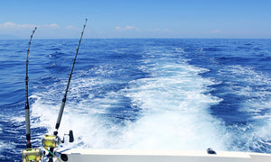 How to Choose the Saltwater Fishing Lures