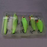 Basstrike Noctilucent Hard Lure Baits Kit Box