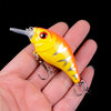 Hard VIB Crankbait 3DEyes Fishing with Treble Hooks